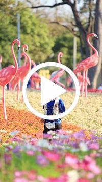 BIB:  <button type="button" onclick="openModal(27583455)" class="btn btn-primary btn-sm float-right" data-toggle="modal" data-target=".modal-high-quality">
                <i class="fa fa-download"></i> Download
                </button>